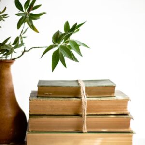 Edible Plants Identification Guide
